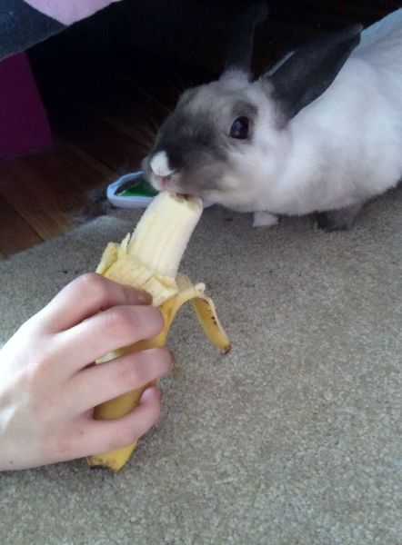 Morning Picdump
