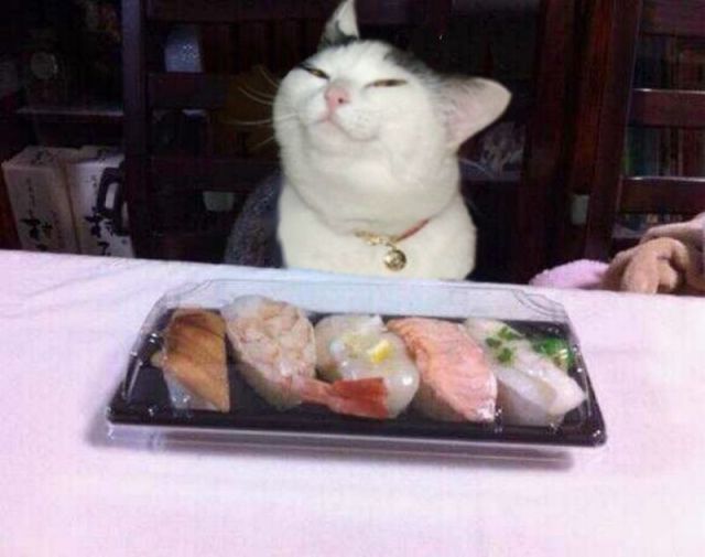 Morning Picdump
