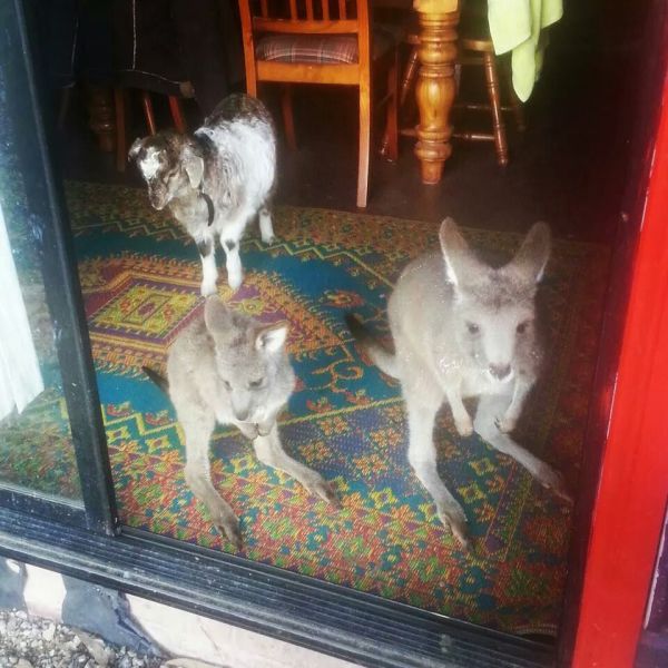 Morning Picdump