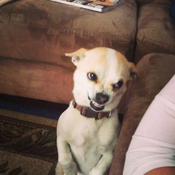 Morning Picdump