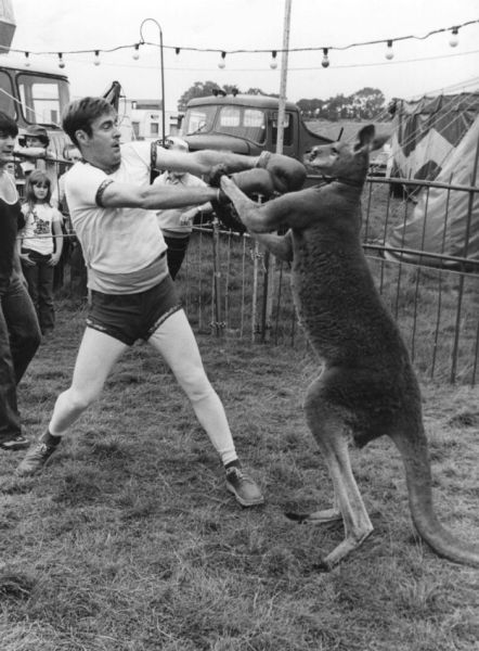 Morning Picdump