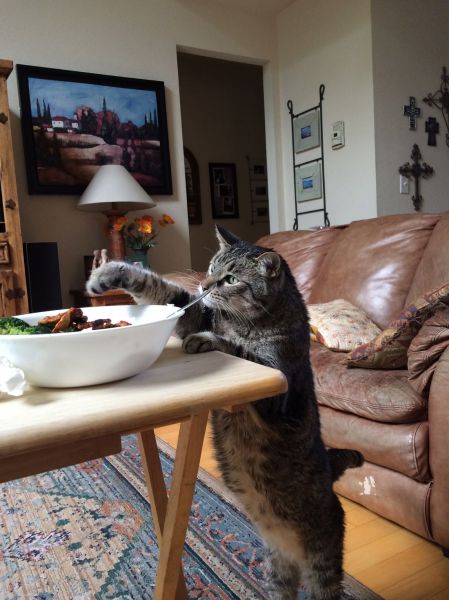 Morning Picdump
