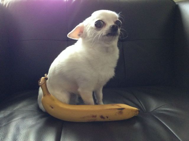Morning Picdump