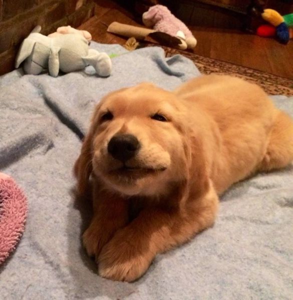 morning picdump 59 pics 13.html - 59 HD Photos | Premium Gallery 2014