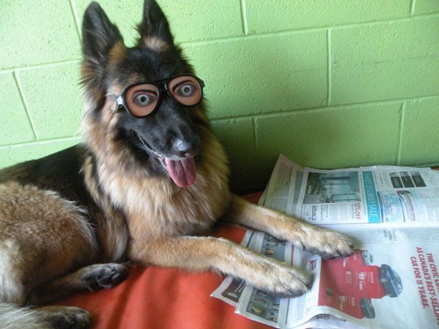 morning picdump 59 pics 13.html - 59 HD Photos | Premium Gallery 2014