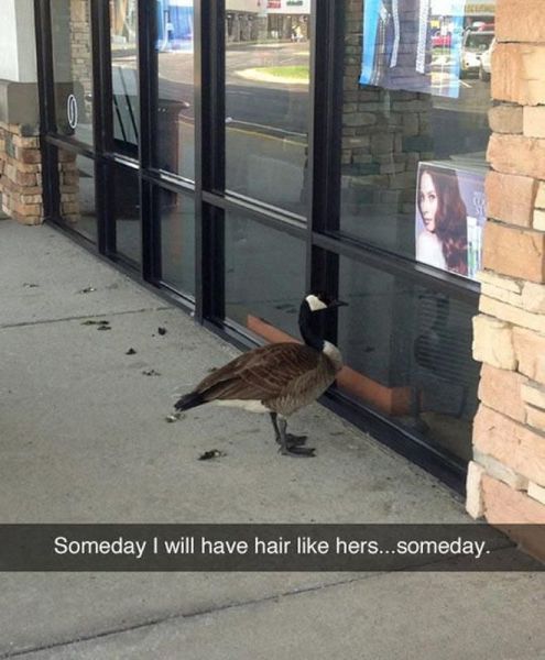 morning picdump 59 pics 13.html - 59 HD Photos | Premium Gallery 2014