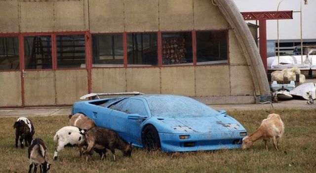 morning picdump 59 pics 13.html - 59 HD Photos | Premium Gallery 2014