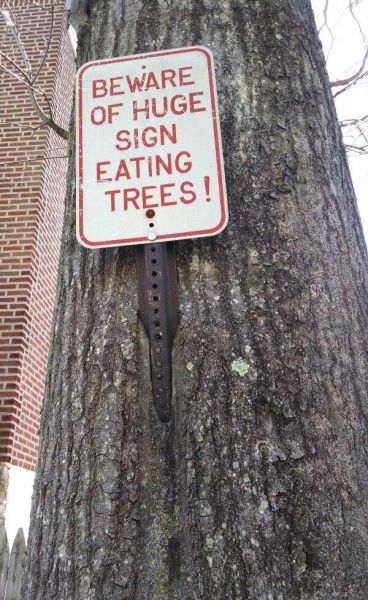 morning picdump 59 pics 13.html - 59 HD Photos | Premium Gallery 2014