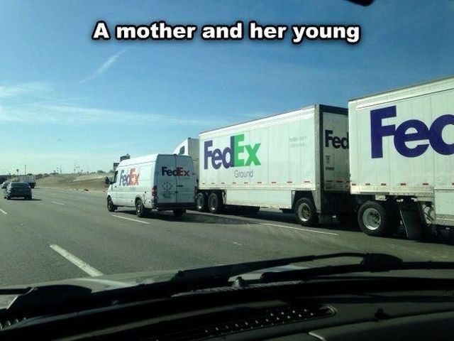 morning picdump 59 pics 13.html - 59 HD Photos | Premium Gallery 2014