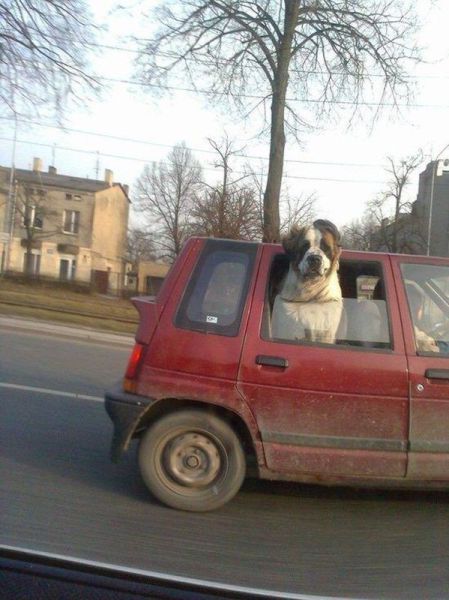morning picdump 59 pics 13.html - 59 HD Photos | Premium Gallery 2014