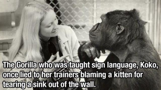 morning picdump 59 pics 13.html - 59 HD Photos | Premium Gallery 2014