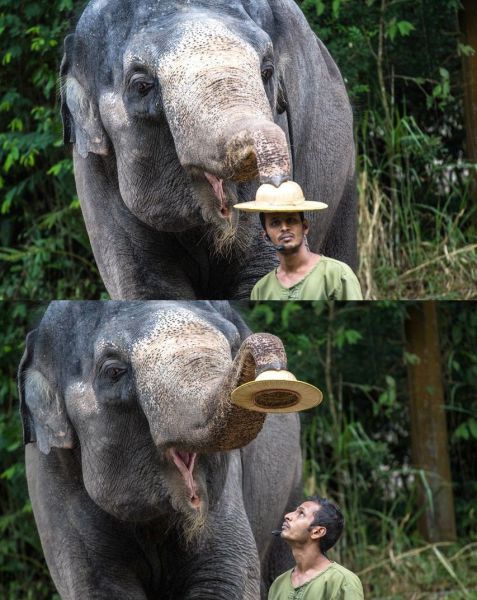 morning picdump 59 pics 13.html - 59 HD Photos | Premium Gallery 2014
