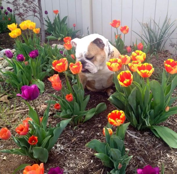 morning picdump 59 pics 13.html - 59 HD Photos | Premium Gallery 2014