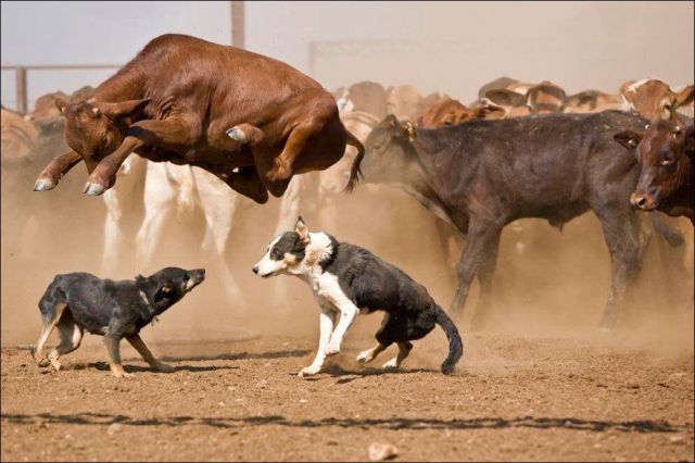 Morning Picdump