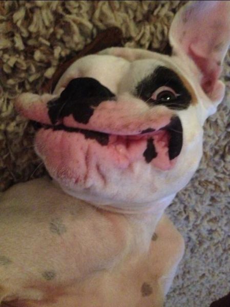 morning picdump 57 pics 21.html - 57 HD Photos | Premium Gallery 2014