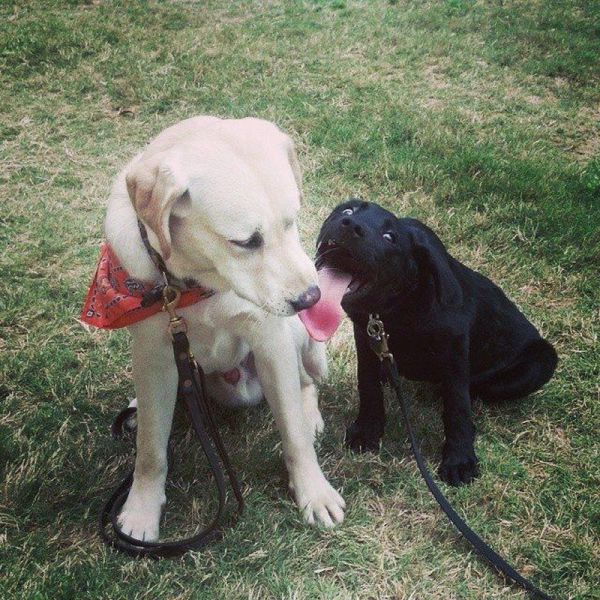 morning picdump 57 pics 21.html - 57 HD Photos | Premium Gallery 2014