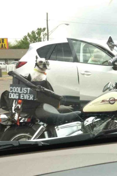 morning picdump 56 pics 30.html - 56 HD Photos | Premium Gallery 2014