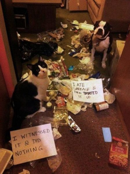 morning picdump 56 pics 30.html - 56 HD Photos | Premium Gallery 2014