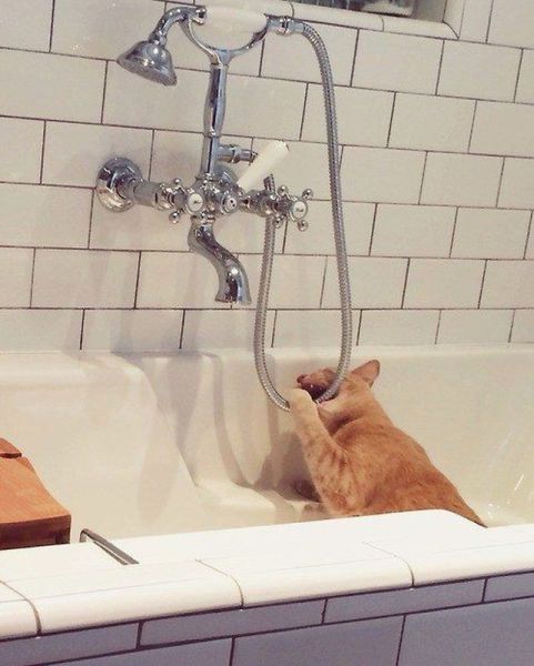 morning picdump 56 pics 30.html - 56 HD Photos | Premium Gallery 2014