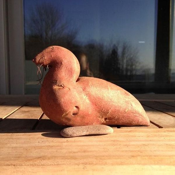 morning picdump 56 pics 30.html - 56 HD Photos | Premium Gallery 2014