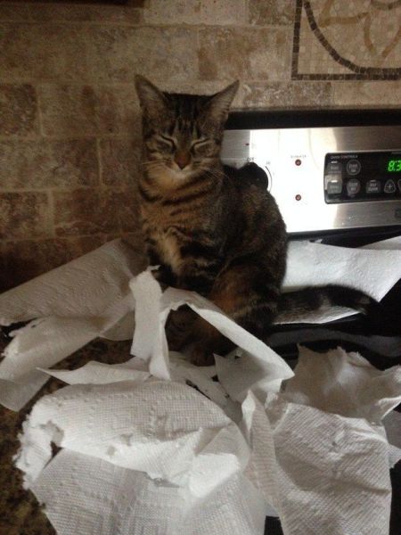 morning picdump 56 pics 30.html - 56 HD Photos | Premium Gallery 2014