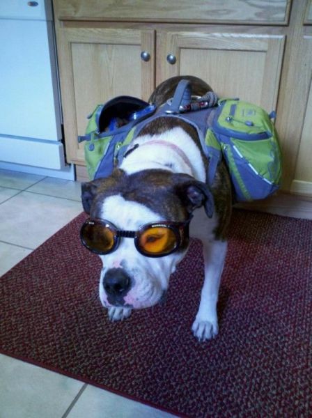 Morning Picdump