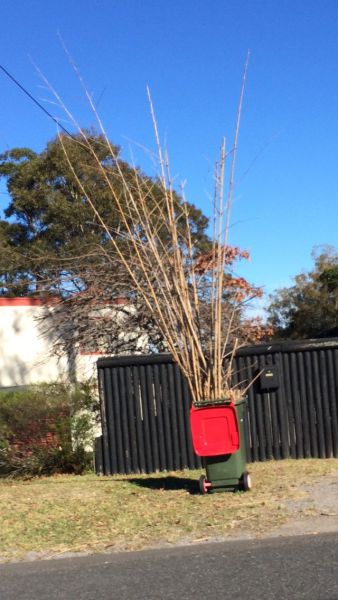 daily picdump 92 pics 9.html - 92 HD Photos | Premium Gallery 2014