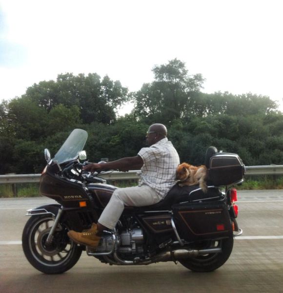 morning picdump 59 pics 5.html - 59 HD Photos | Premium Gallery 2014