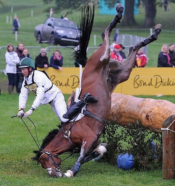 morning picdump 56 pics 29.html - 56 HD Photos | Premium Gallery 2014
