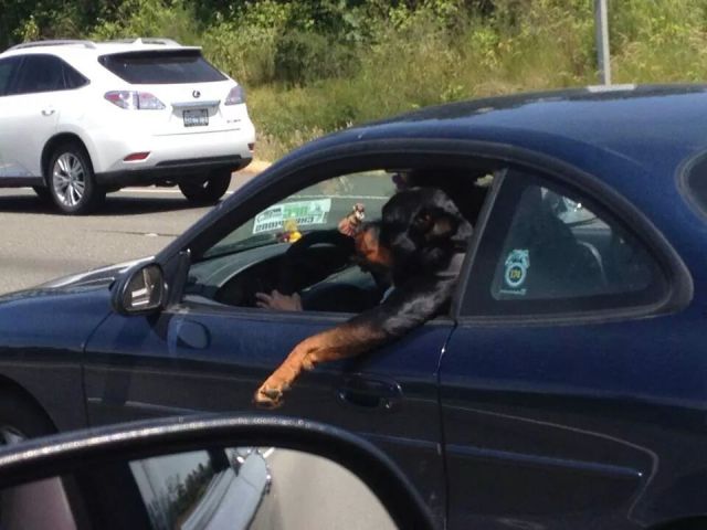morning picdump 56 pics 29.html - 56 HD Photos | Premium Gallery 2014