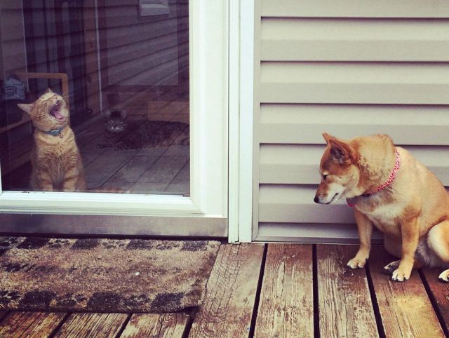 morning picdump 56 pics 29.html - 56 HD Photos | Premium Gallery 2014