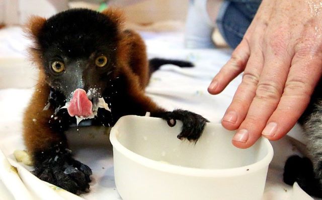 morning picdump 58 pics 5.html - 58 HD Photos | Premium Gallery 2014