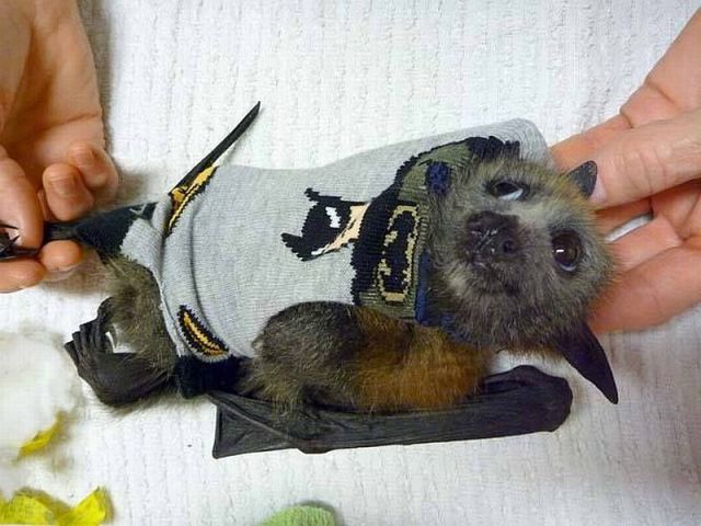 morning picdump 57 pics 10.html - 57 HD Photos | Premium Gallery 2014