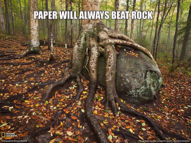 morning picdump 63 pics 10.html - 63 HD Photos | Premium Gallery 2014