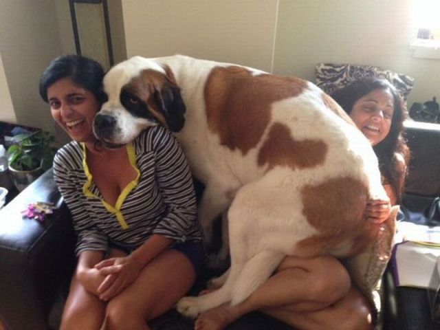 morning picdump 63 pics 10.html - 63 HD Photos | Premium Gallery 2014