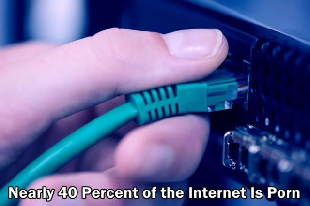 Trivia about the Adult Film Industry