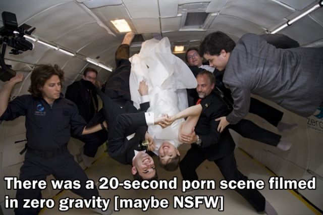 Trivia about the Adult Film Industry