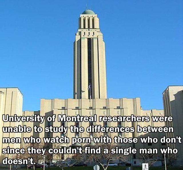 Trivia about the Adult Film Industry