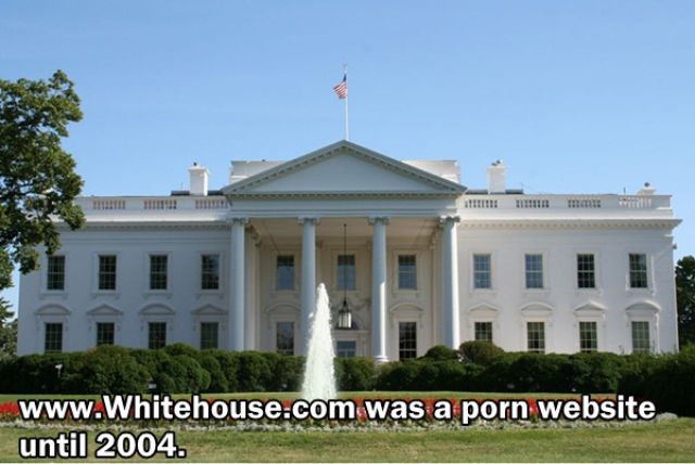 Trivia about the Adult Film Industry