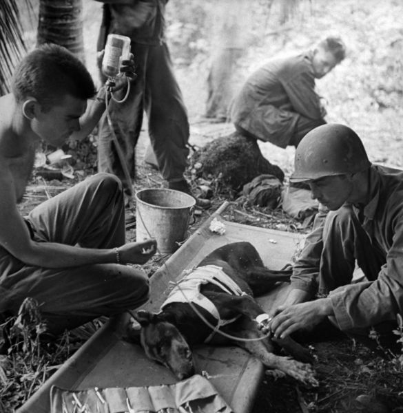Humans Showing Tenderness to Others in Violent Times