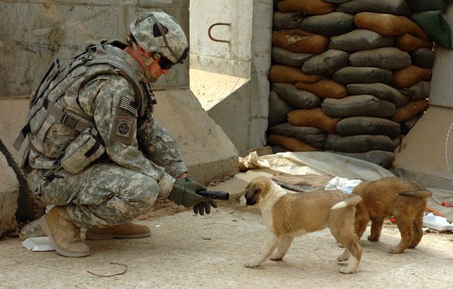 Humans Showing Tenderness to Others in Violent Times