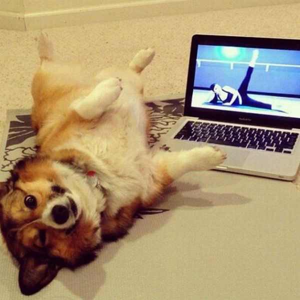 morning picdump 58 pics 44.html - 58 HD Photos | Premium Gallery 2014