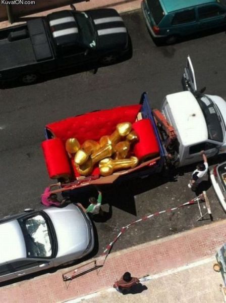Morning Picdump