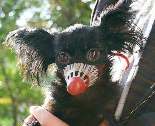 Morning Picdump