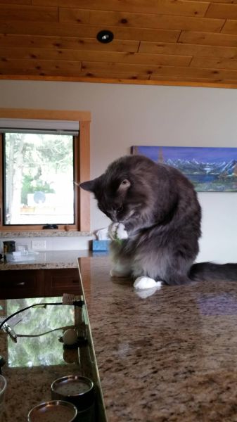 morning picdump 55 pics 12.html - 55 HD Photos | Premium Gallery 2014