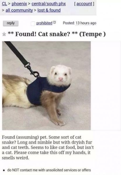 funny picdump 51 pics 14.html - 51 HD Photos | Premium Gallery 2014