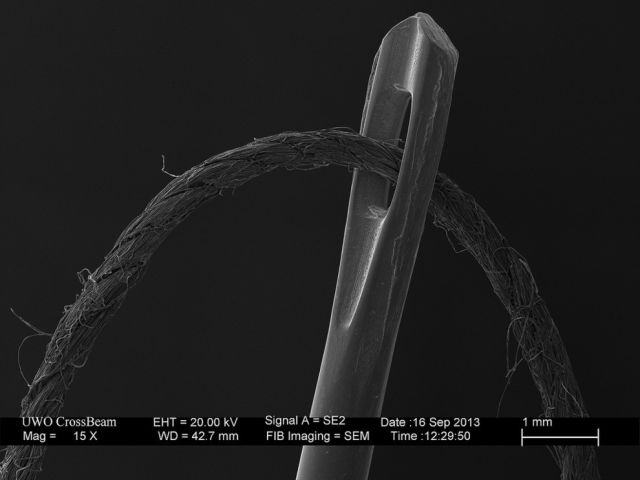 Microscope Images Make Even Normal Stuff Look Strange