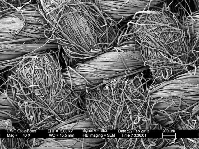 Microscope Images Make Even Normal Stuff Look Strange