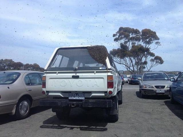 morning picdump 61 pics 1.html - 61 HD Photos | Premium Gallery 2014