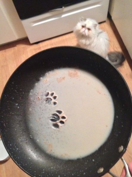 morning picdump 61 pics 1.html - 61 HD Photos | Premium Gallery 2014